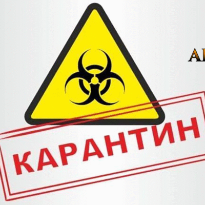 Що можна робити у карантин коронавіруса в Україні, права та обов'язки