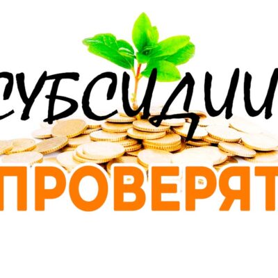 В Украине проверят субсидии. кого заставят вернуть деньги