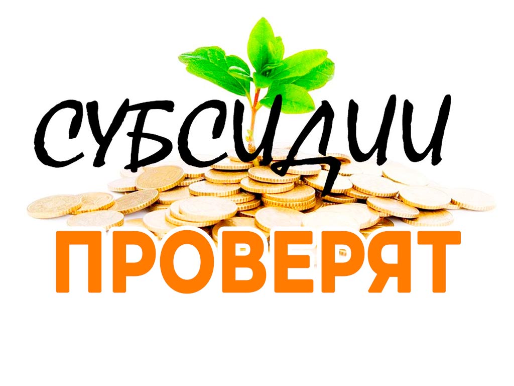 В Украине проверят субсидии. кого заставят вернуть деньги