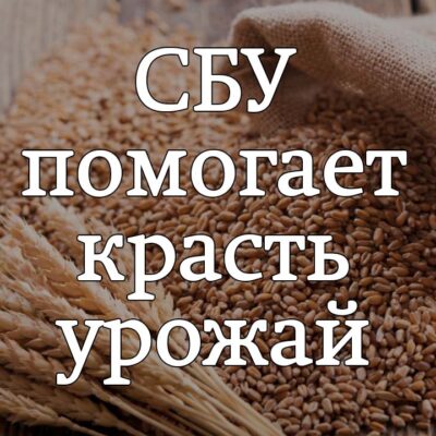 Немецкие инвесторы обвинили сотрудников СБУ в содействии рейдерам