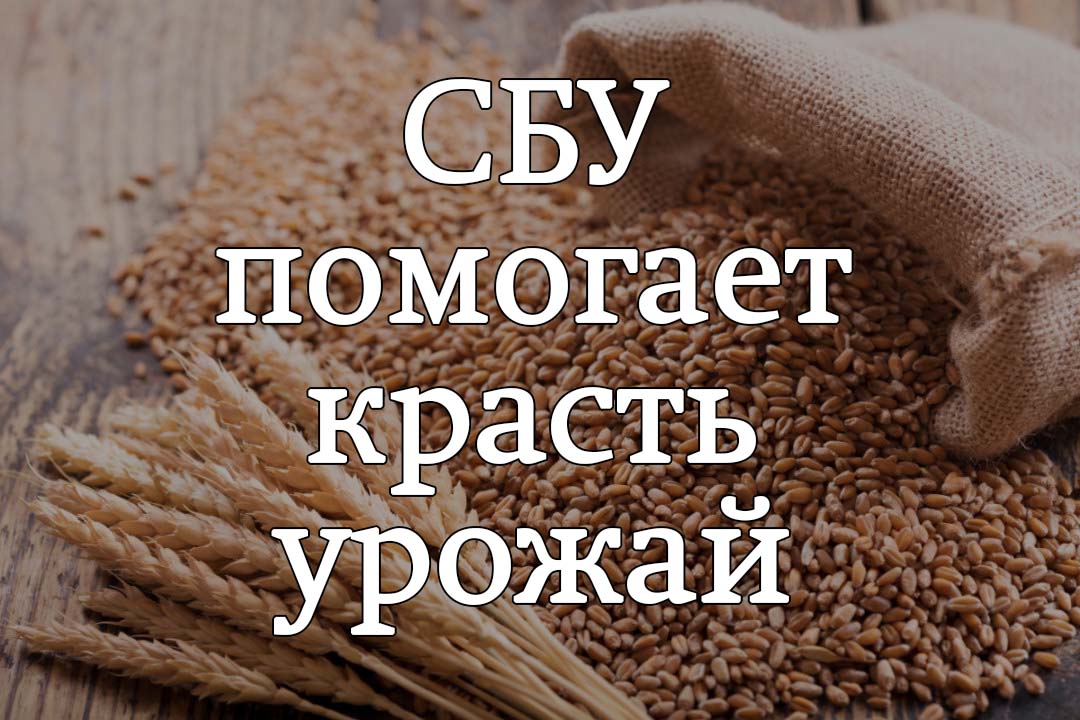 Немецкие инвесторы обвинили сотрудников СБУ в содействии рейдерам